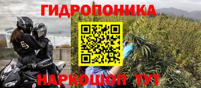 сатива Будённовск