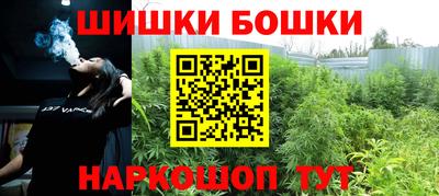 сатива Будённовск