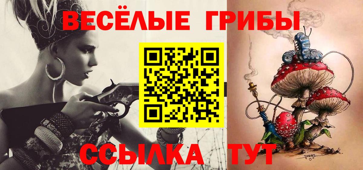 Псилоцибиновые грибы Cubensis Сокол